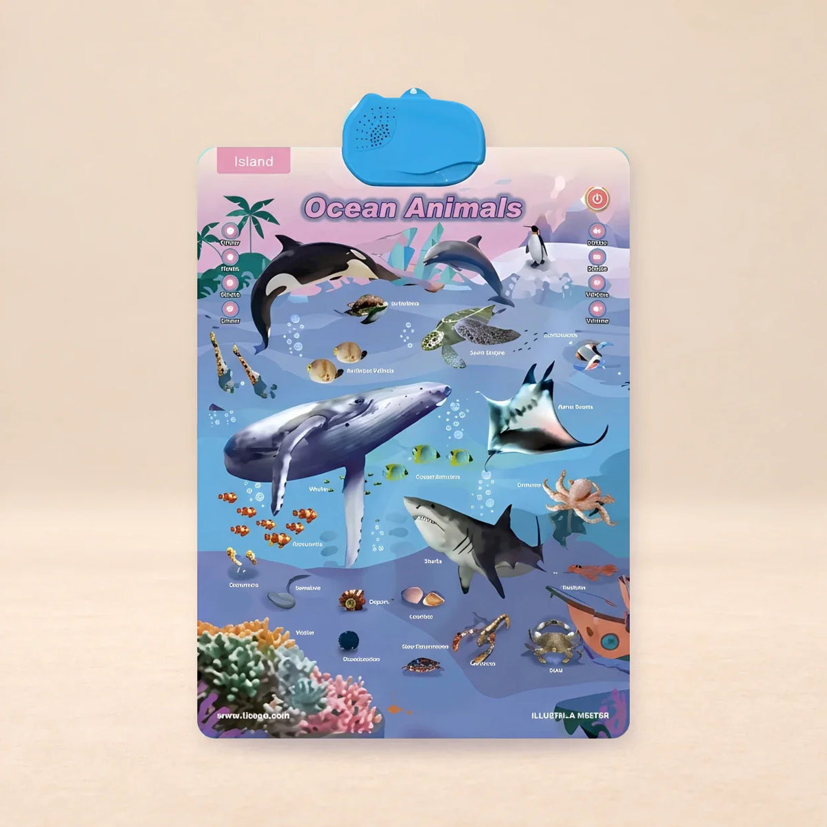 Whispering Woods Talking Alphabet Wall Chart, Sea Animal Sound Chart