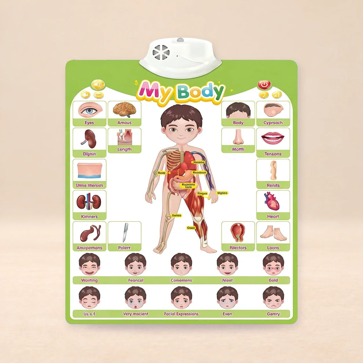 Whispering Woods Talking Alphabet Wall Chart, Body Parts Sound Chart